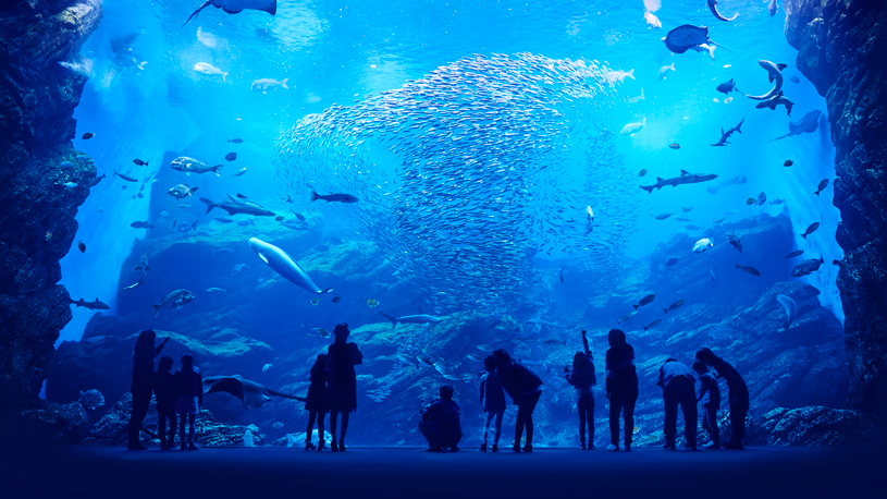 仙台うみの杜水族館